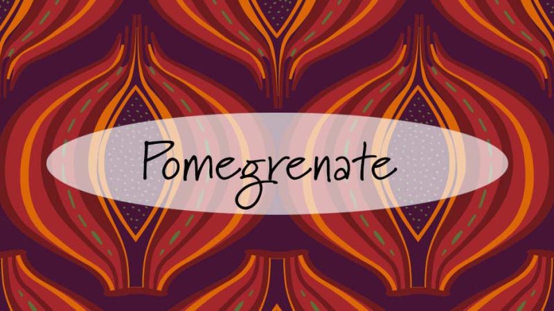 Header mit Granatapfel Design - header with pomegrnate design by Andrea Mühlbauer