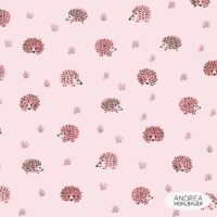 Der rosa Igel